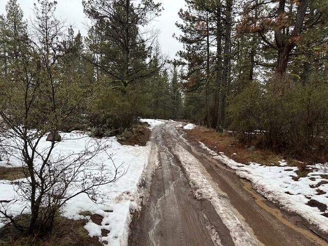 Klamath Falls Forest Estates -Hwy 66 Unit -Plat No. 1 - Land