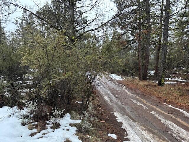 Klamath Falls Forest Estates -Hwy 66 Unit -Plat No. 1 - Land