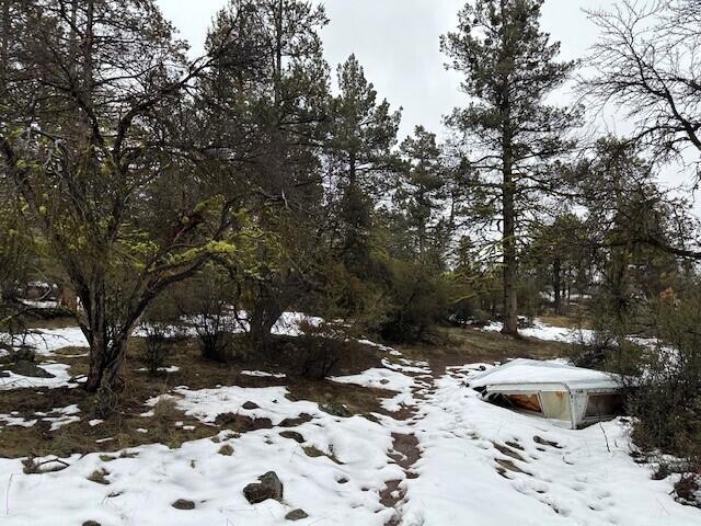 Klamath Falls Forest Estates -Hwy 66 Unit -Plat No. 1 - Land