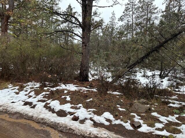 Klamath Falls Forest Estates -Hwy 66 Unit -Plat No. 1 - Land