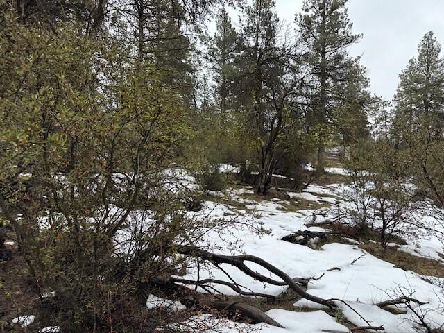 Klamath Falls Forest Estates -Hwy 66 Unit -Plat No. 1 - Land