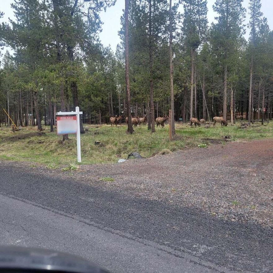 Ready to enjoy an outdoor lifestyle close to trails & rivers to explore? If you're looking for a buildable lot on .58 acres, then you've found it! This cleared lot is across the street from the Big Deschutes River. So, bring your home plans -- you're ahead of schedule. This property is located on a paved road in Three Rivers South with close proximity to Sunriver, Mt. Bachelor & the Cascade Lakes/resorts and the Big River campground/boat launch. All the hard work has been done for you -- power & water are already hooked up to this highly desirable neighborhood, Oregon Water Wonderland 1. The property has met the requirements for an ATT septic system & is ready for you to plan & build your dream home so you can enjoy all the trails, river access & amenities that Sunriver and the TRS area offer! Plans for 3 bdrm/2 bath 1262 sf w/1.75 car garage & 1352 sf w/2car garage available.