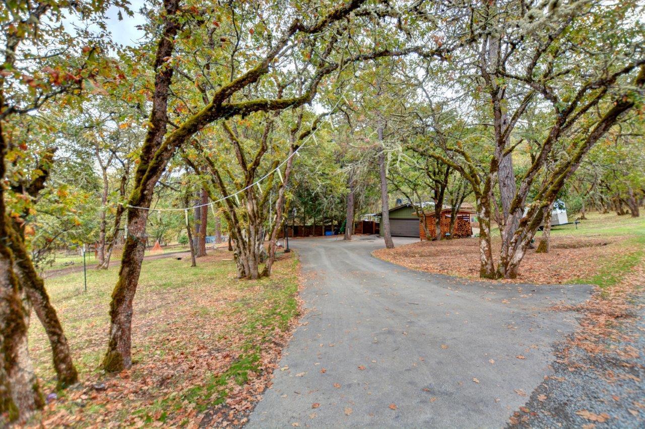 Crystal Springs Orchard Tracts - Residential