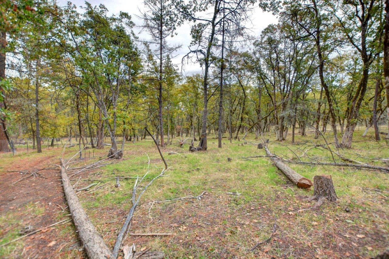 Crystal Springs Orchard Tracts - Residential