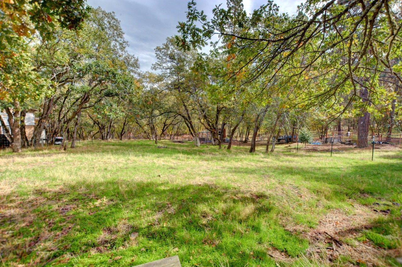 Crystal Springs Orchard Tracts - Residential