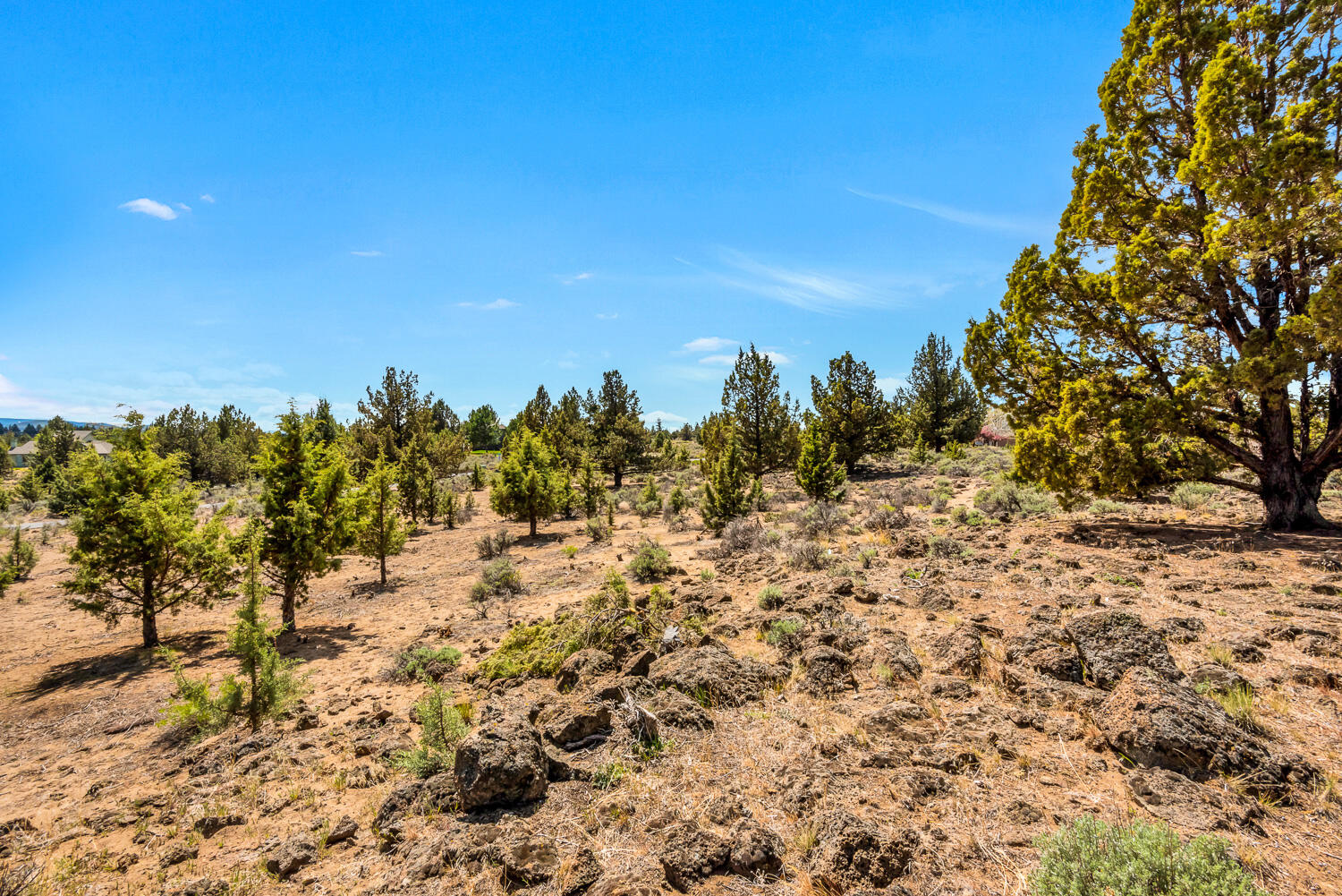 Lane Knolls - Residential