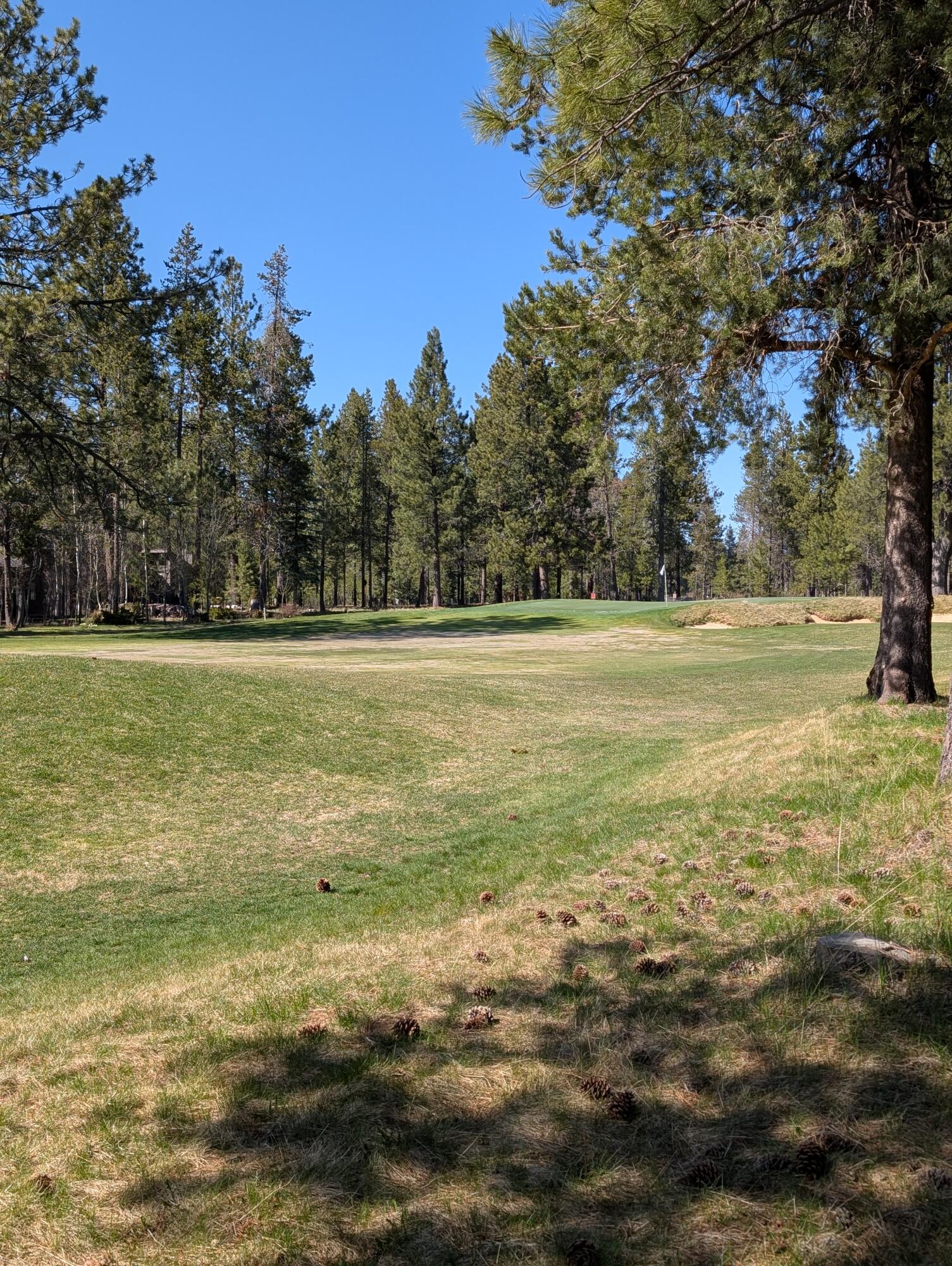 Wildflower - Residential