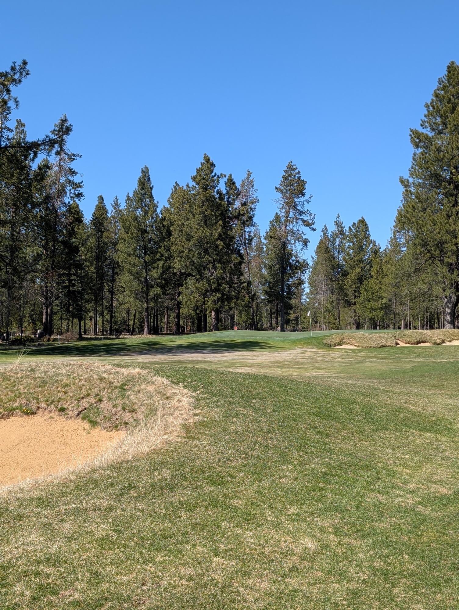 Wildflower - Residential