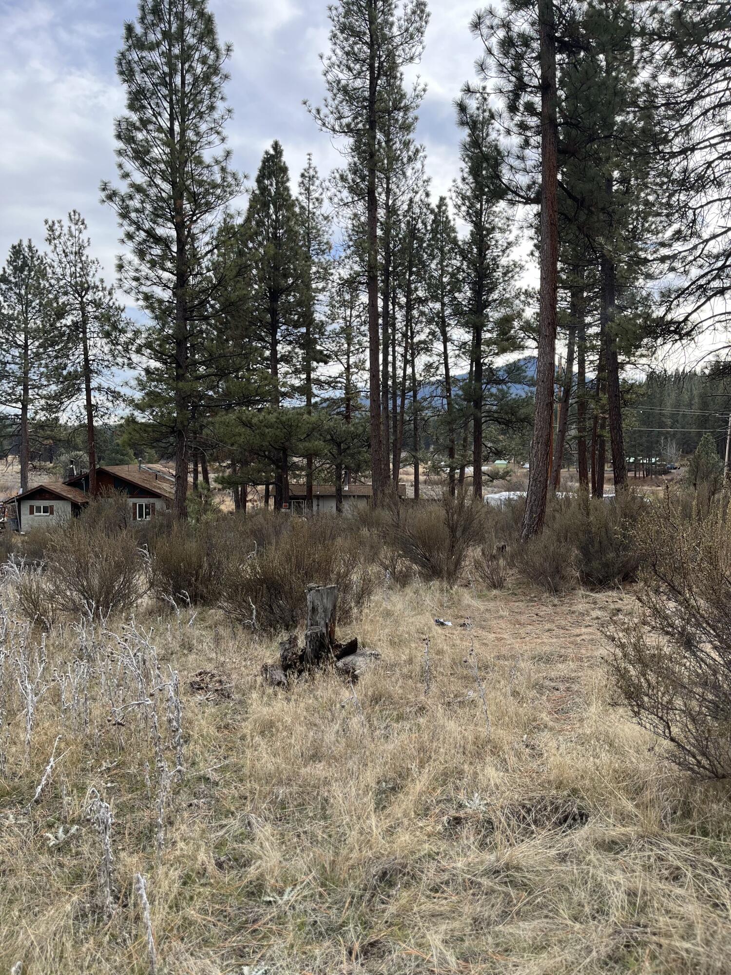 Lone Pine On The Sprague - Land