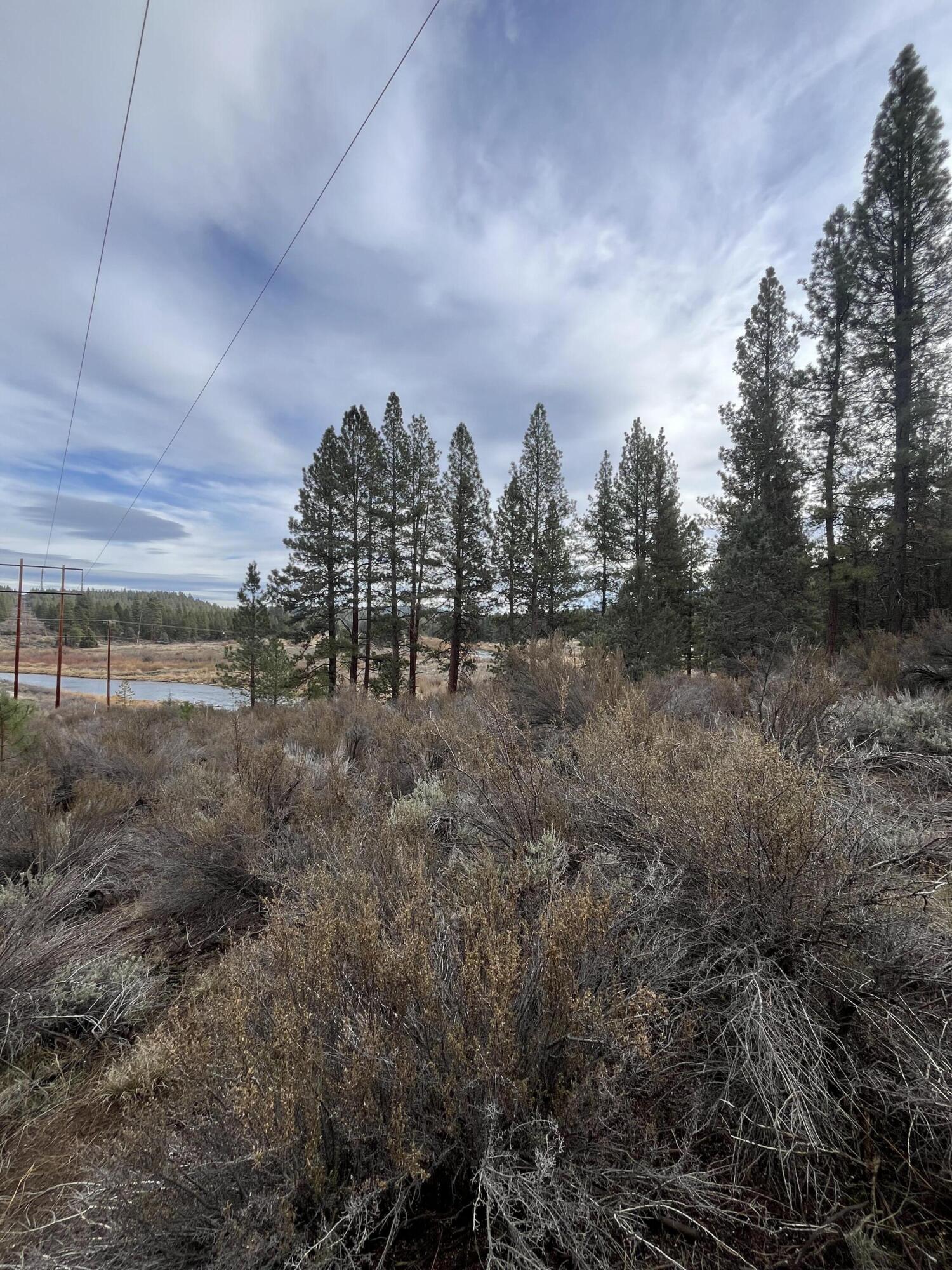 Lone Pine On The Sprague - Land