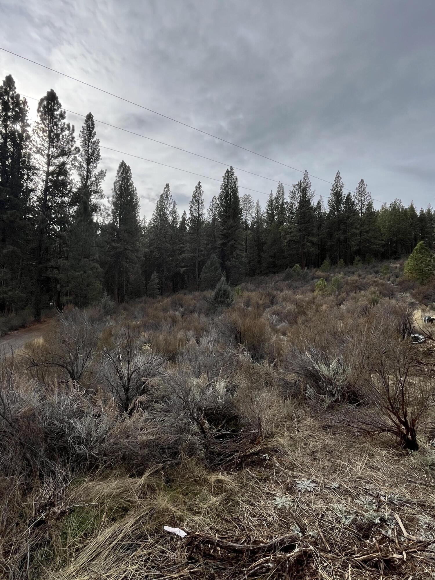 Lone Pine On The Sprague - Land