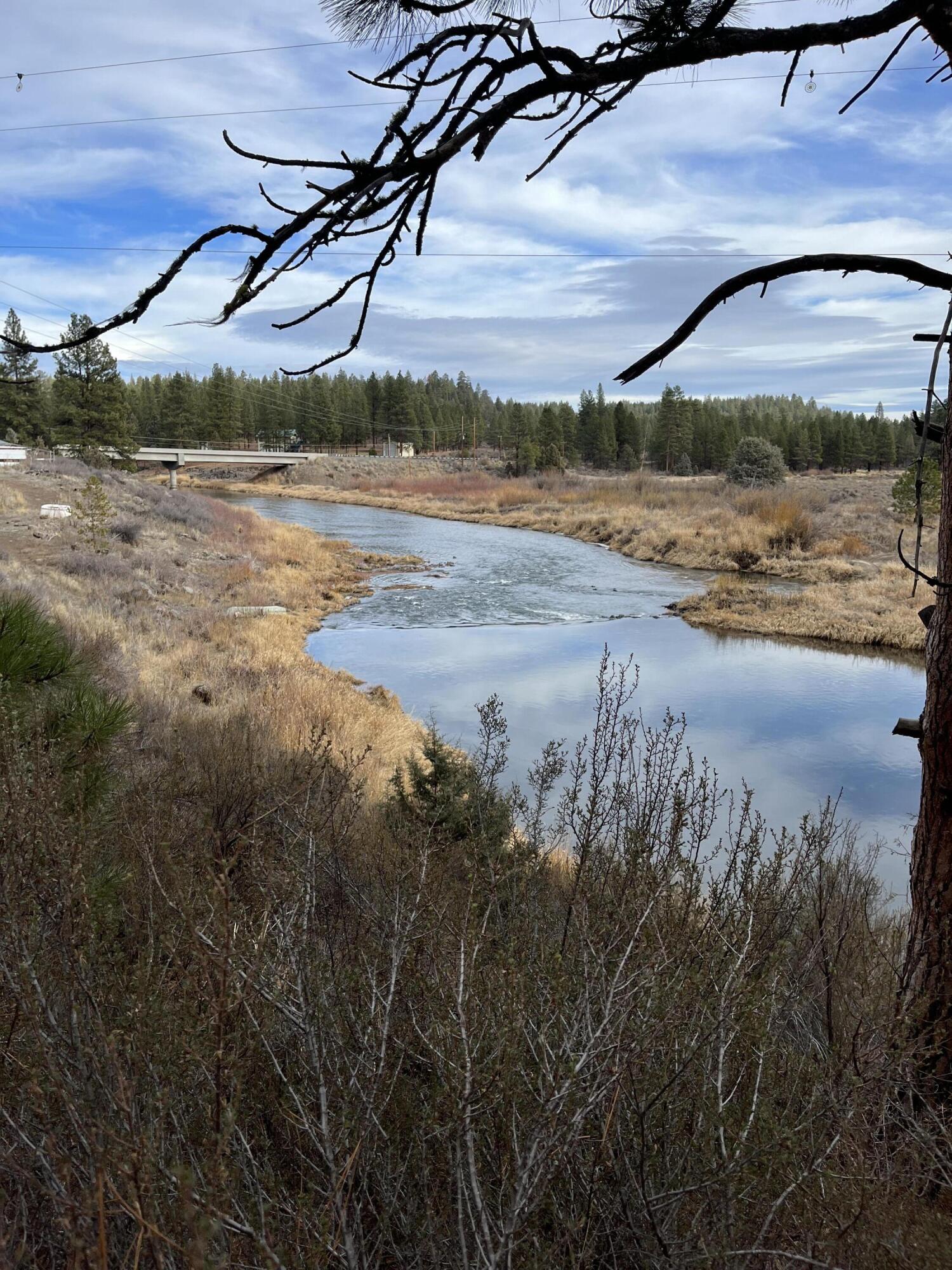 Lone Pine On The Sprague - Land