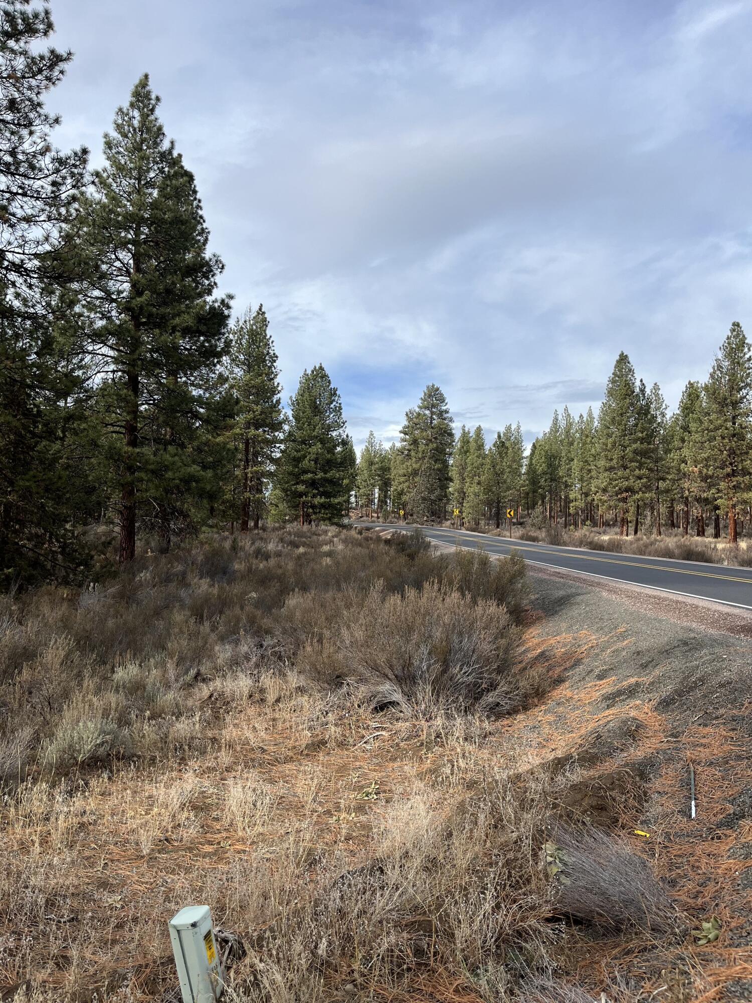 Lone Pine On The Sprague - Land
