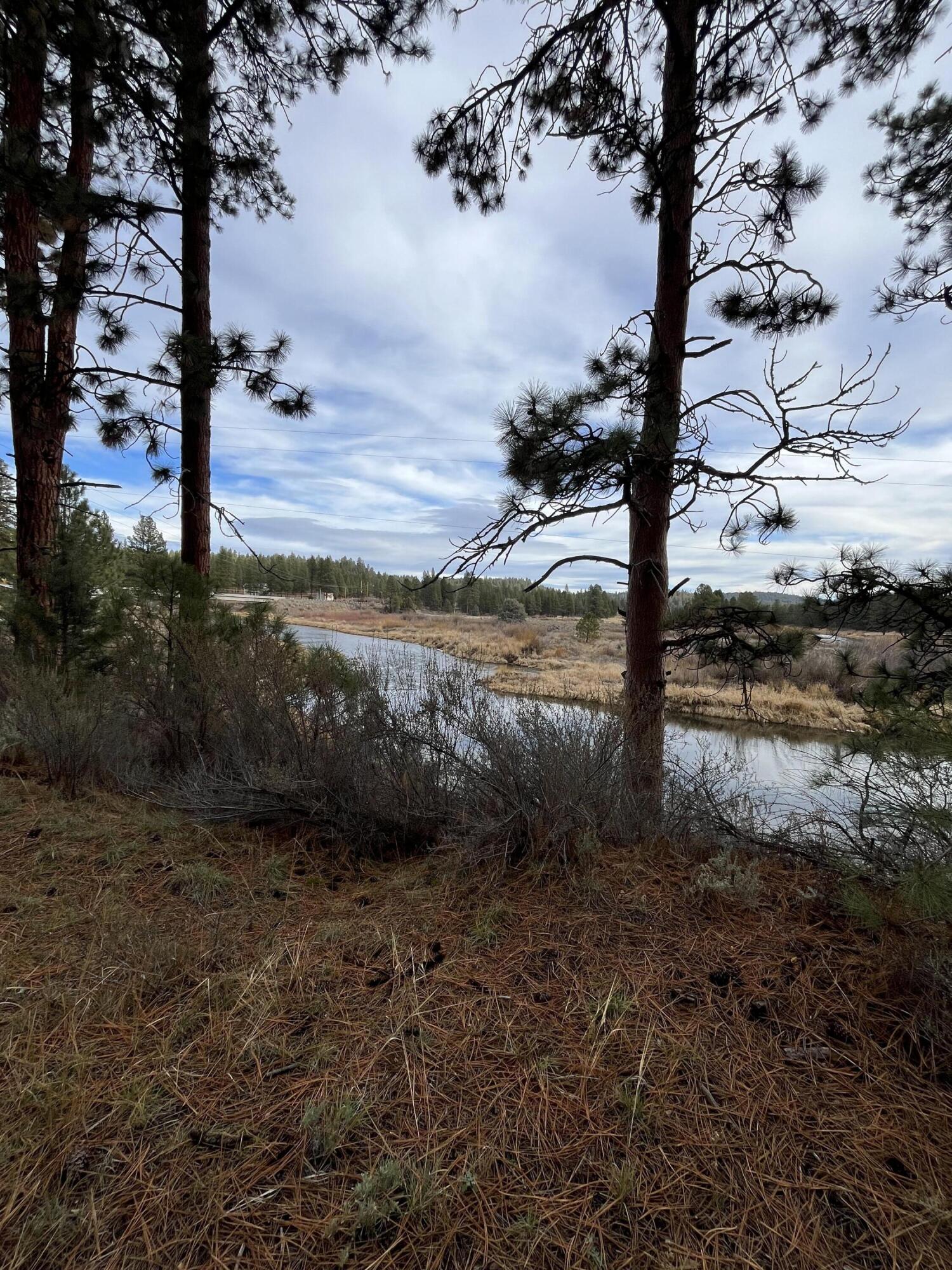 Lone Pine On The Sprague - Land