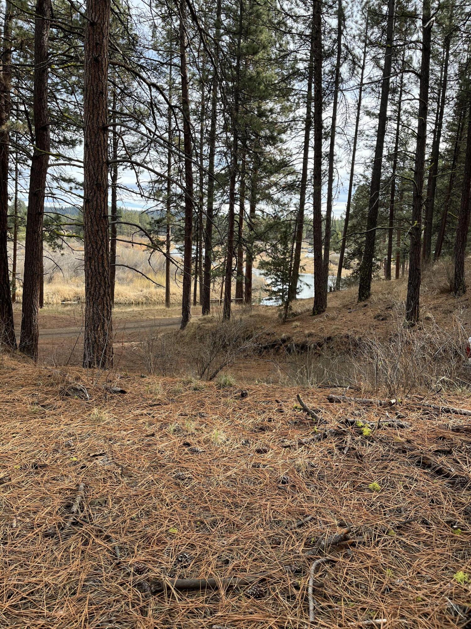 Lone Pine On The Sprague - Land