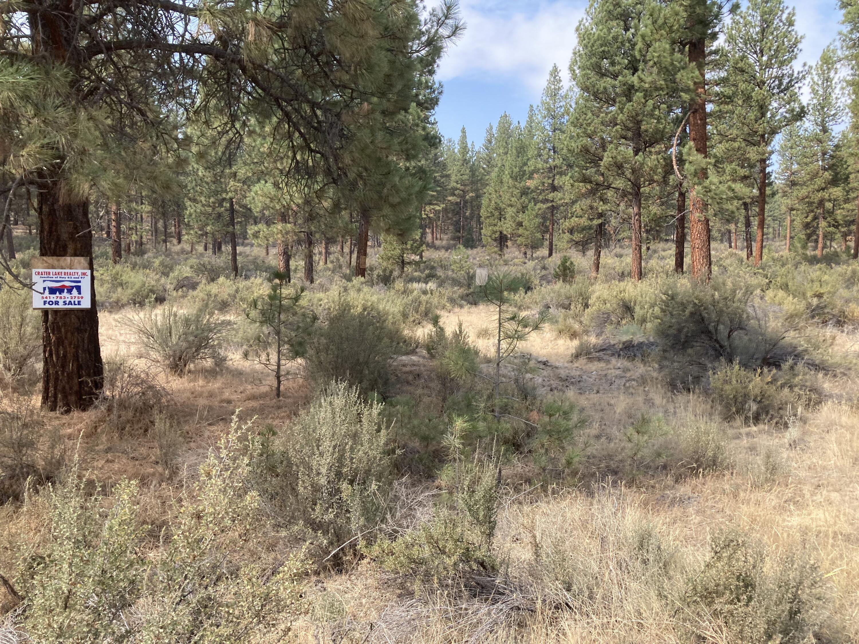 Lone Pine On The Sprague - Land