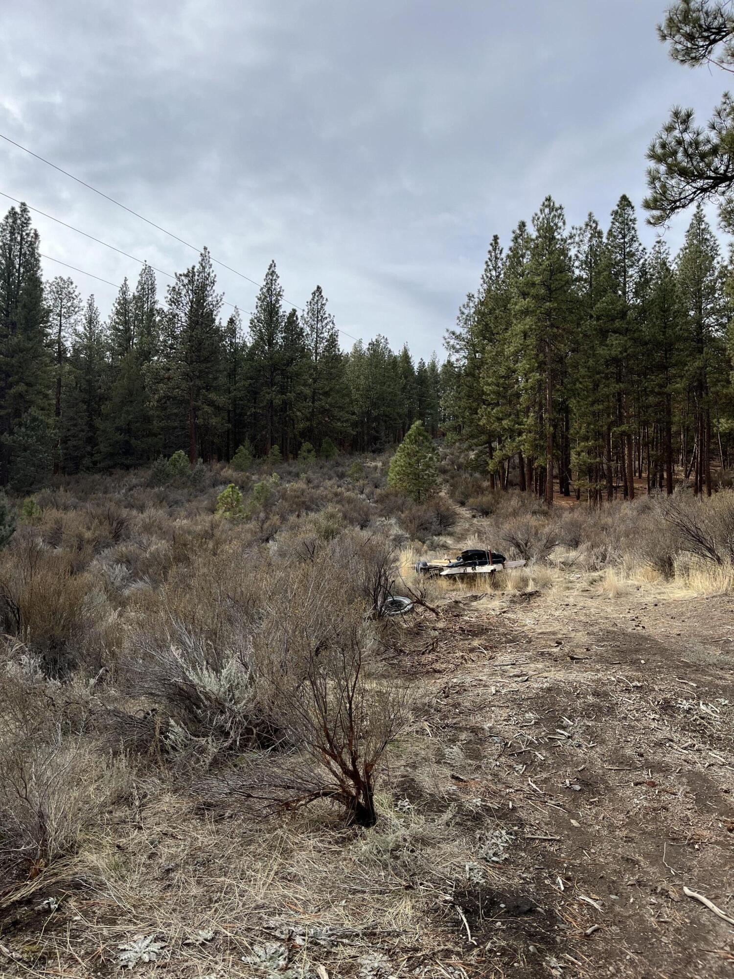 Lone Pine On The Sprague - Land