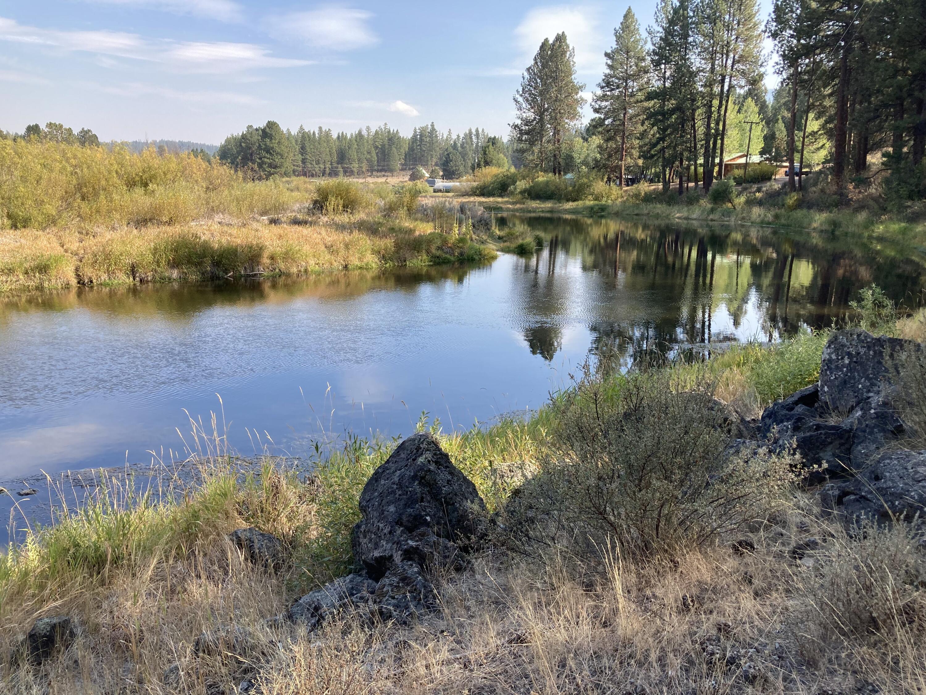 Lone Pine On The Sprague - Land