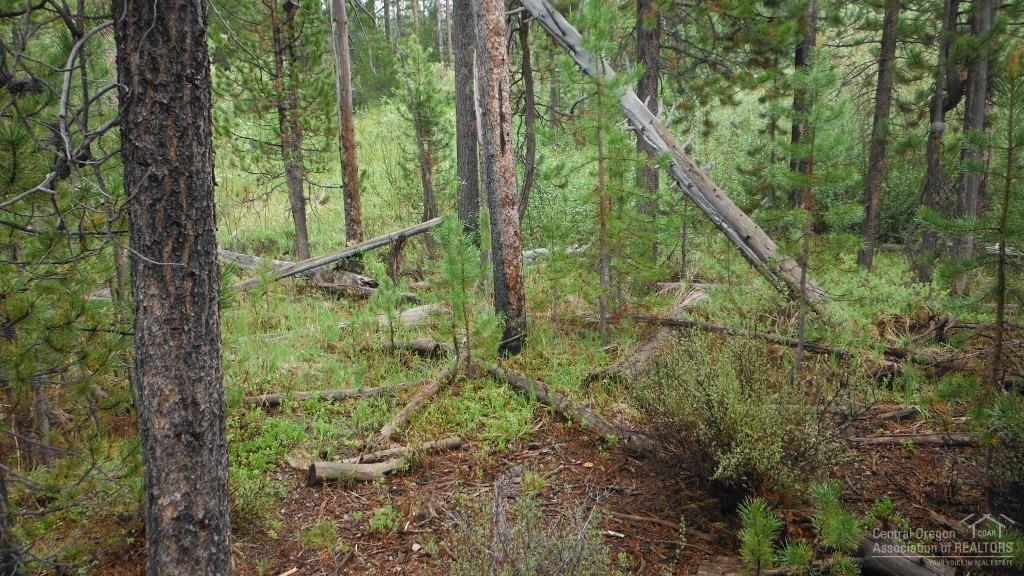 Two Rivers North - Land