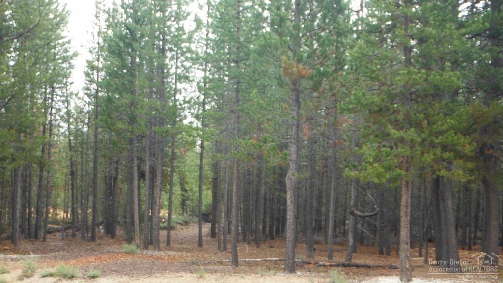 Two Rivers North - Land