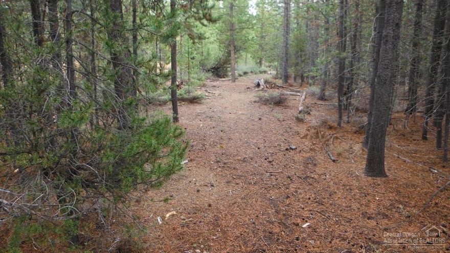 This 1.08 acre lot is located in Two Rivers North. USFS trails border the subdivision for snowmobiling, quad rides, hikes or cycling. Ready to build your dream home? Power is at the street. Roads are maintained all year. Just minutes from Willamette Ski Pass, Pacific Crest Trail, Little Deschutes River, clear mountain lakes and so much more! There is a seasonal swale at the back of the property teeming with wildlife. Be sure to walk this beautiful property.