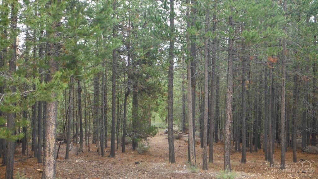 Two Rivers North - Land