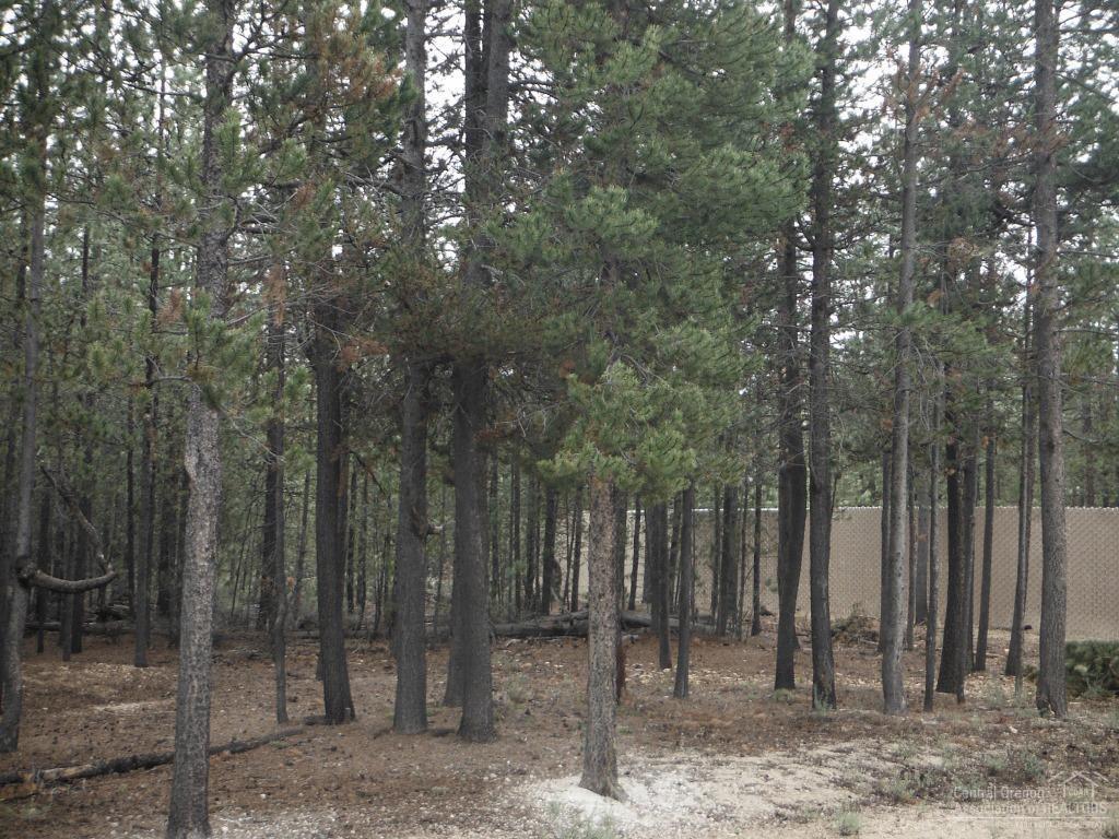 Two Rivers North - Land