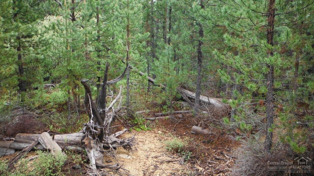 Two Rivers North - Land