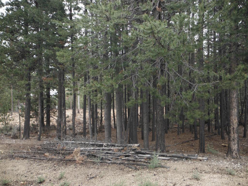 Two Rivers North - Land