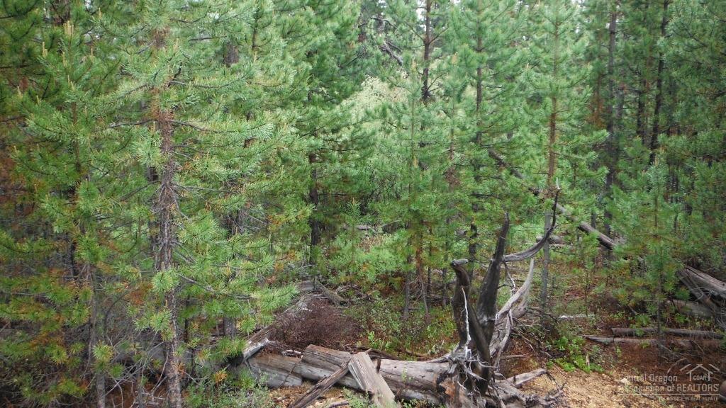 Two Rivers North - Land