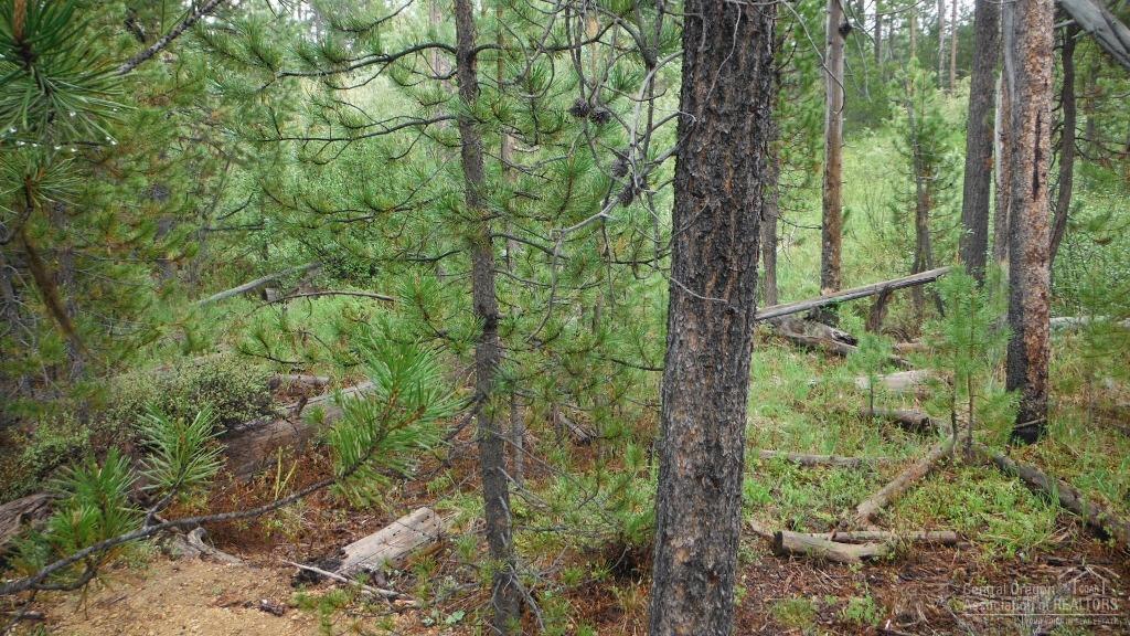 Two Rivers North - Land