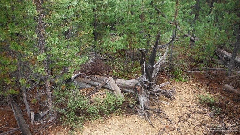 Two Rivers North - Land