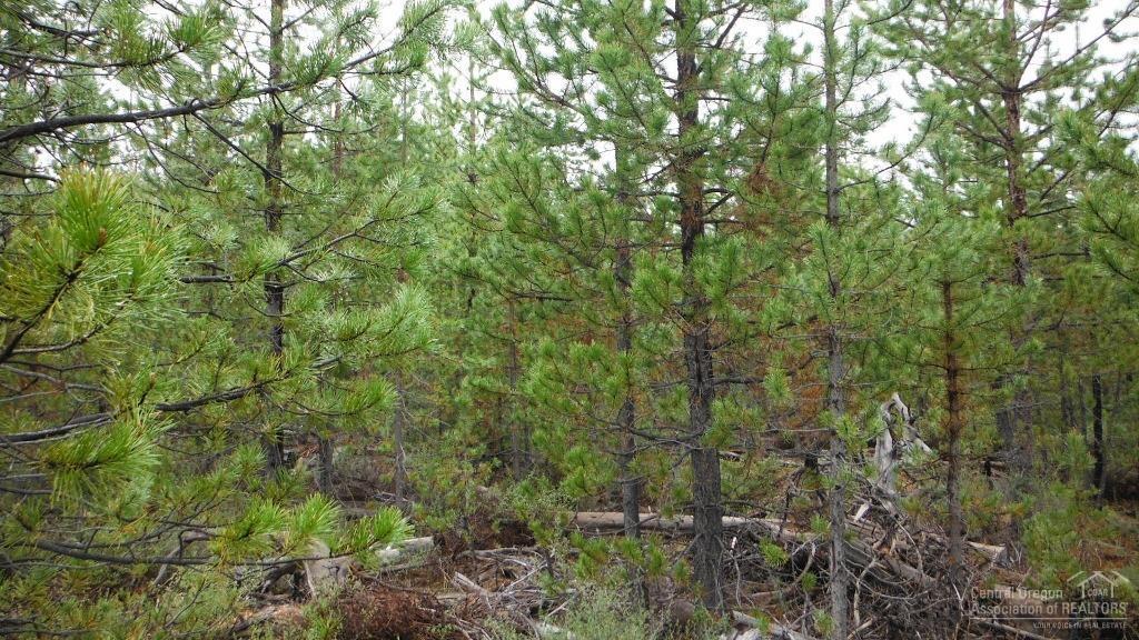 Two Rivers North - Land