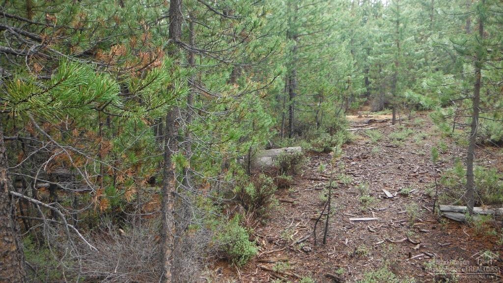 Two Rivers North - Land