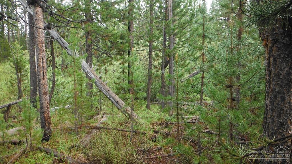 Two Rivers North - Land