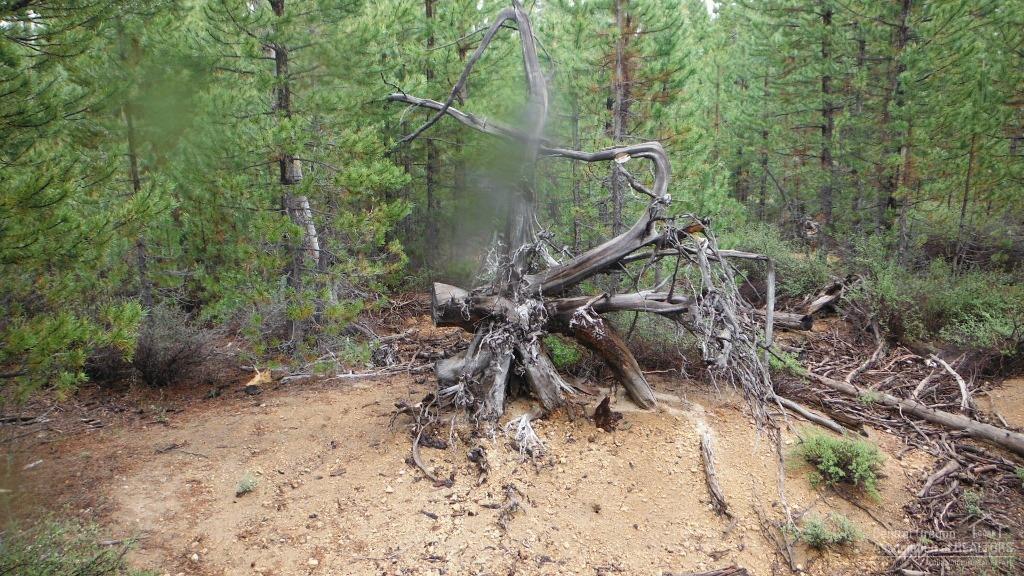 Two Rivers North - Land