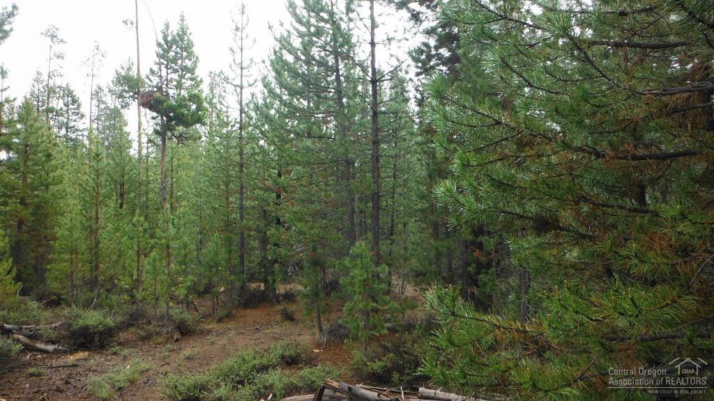 Two Rivers North - Land