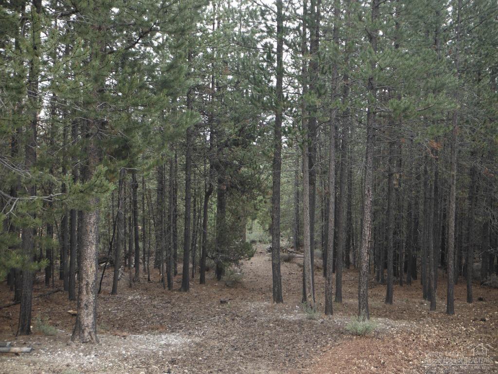 Two Rivers North - Land