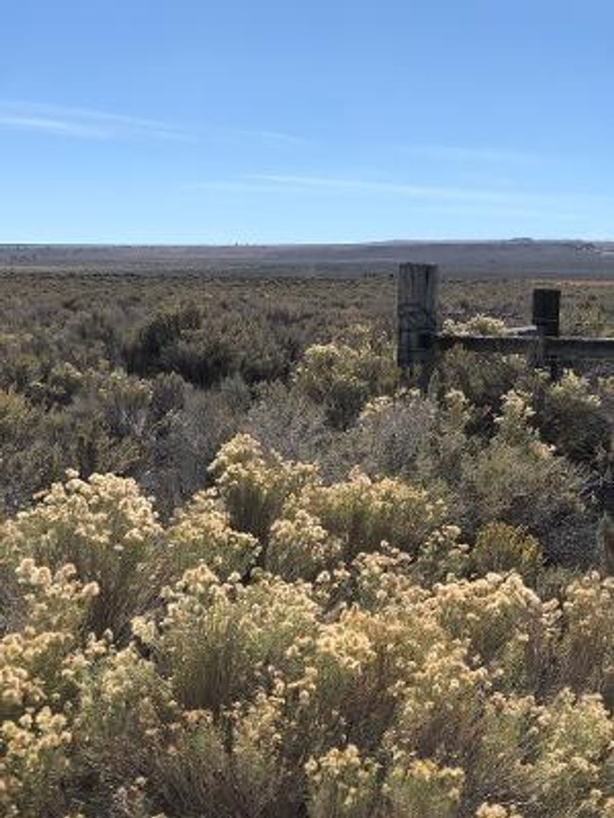 Great 20 acre parcel just off paved road. Beautiful view of Tablerock mountain along with multiple other mountain views. All you need is a CUP permit to make it your new home site. Mountain and Valley views. Close to Christmas valley and Silver Lake for fun activities. Enjoy all the high desert has to offer with huge living sand dunes to ATV on 1000's of acres of BLM. Starlit nights and beautiful sunsets. Come and check out this very affordable acreage.