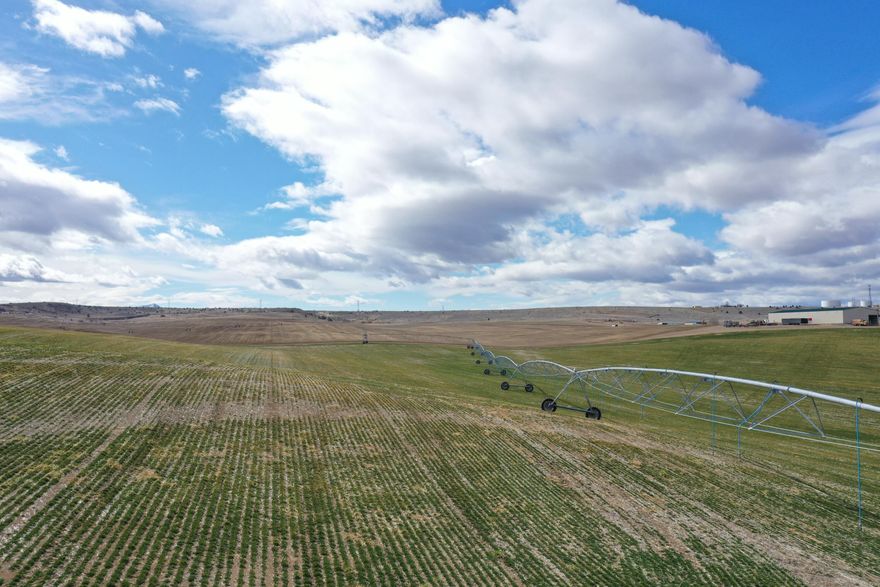 703 acres of prime irrigated farmland with a combination of 4 Pivots, including a 9-Tower Valley Pivot and Center Pivot, and 9 - 1/4 mile wheel lines. Water rights through North Unit Irrigation District with 511.41-ac from the Deschutes River and 132.80-ac from the Crooked River. Buildings include a 3,511 SF shop built 2008 with an office, breakroom, and 1/2 bath and 3 hay sheds: 16,000 SF built 2019; 5,400 Sf built 2008; and 4,032 SF built 2004. The farm consists of 4 separate parcels, all fields planted in 2023, and good access.