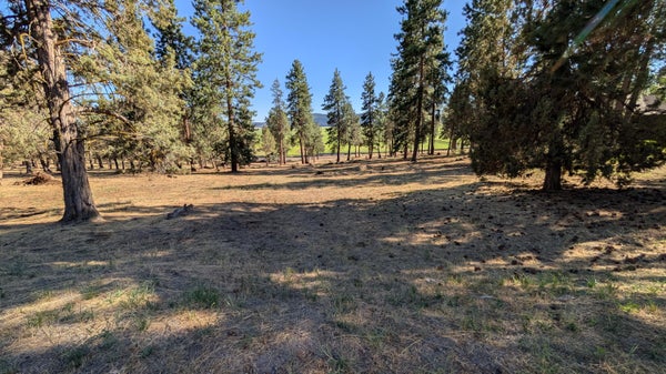ADDRESS PRIVATE, KLAMATH FALLS, OR 97601 - Image 5d4e7f6d32c15fefc2d50996af6927d4/2709707172