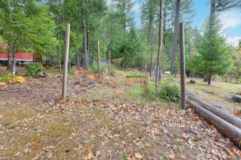 Tiny photo for 36793 Redwood Highway, Cave Junction, OR 97523 (MLS # 220212167)