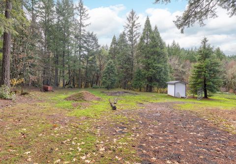 Tiny photo for 36793 Redwood Highway, Cave Junction, OR 97523 (MLS # 220212167)