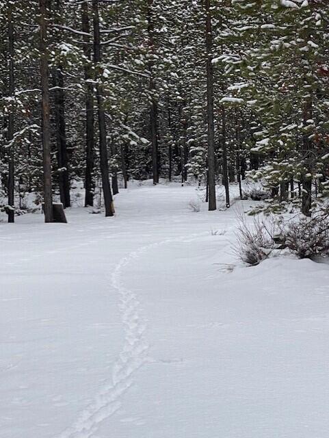 Two Rivers North - Land