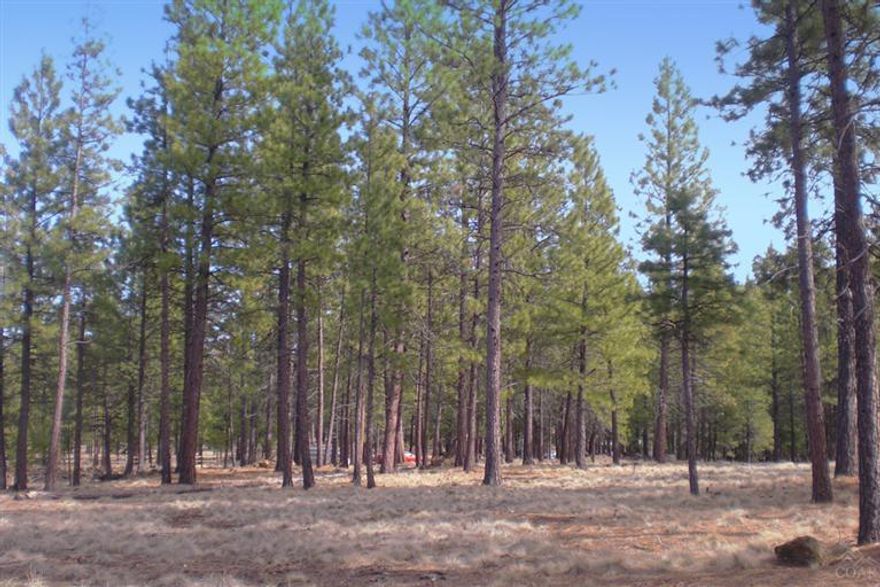 One Look Will Do! Marvelous wooded building lot for your new home. This is an extra-large and very private building lot with extensive forest boundary frontage. It is located in a desirable area of Crossroads among many fine homes. Bring your horses and ride into the sunset. Let's Look! (North Boundary line 352ft, West Boundary line 263ft adjoining USFS, South Boundary line 350ft.)