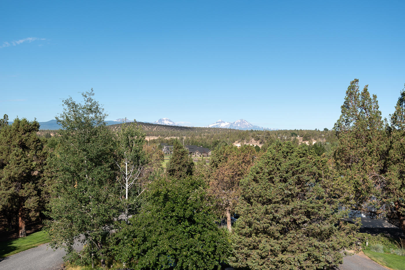 Watership Down - Residential