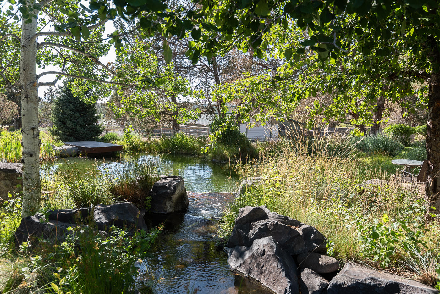 Watership Down - Residential