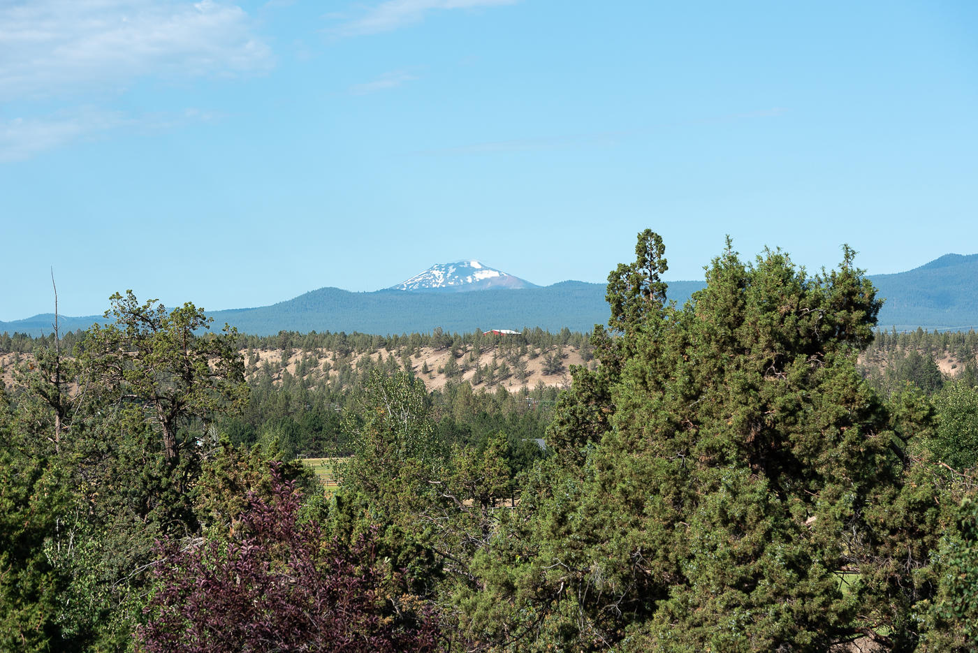 Watership Down - Residential