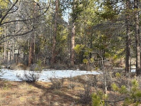 Tiny photo for 51418 Evans Way, La Pine, OR 97739 (MLS # 220214295)