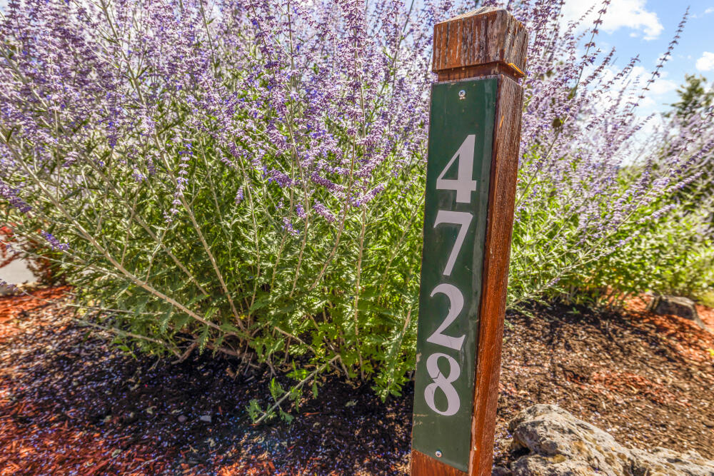 Running YResort - Residential